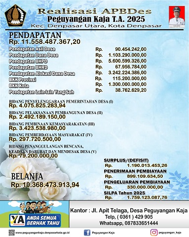 REALISASI APBDes Tahun 2025